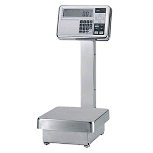 ViBRA-FZ-30K0.1GEx-i02 весы взрывобезопасные, Изображение №1
