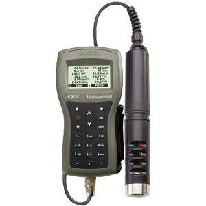 HI-9829-11202 анализатор гидрохимический многопараметровый, Изображение №1