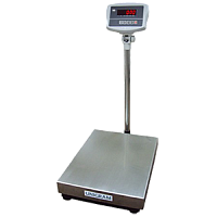 ЕВ1-300Р (WI-2R, 450х600) весы товарные