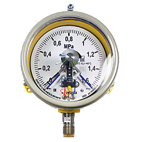 ДМ2005фСг1Exd-Кс-(0-0,6...60)МПа-кл.т.1,5-d.160-IP54-М20х1,5-РШ-У1-шильд манометр электроконтактный взрывозащищенный коррозионностойкий