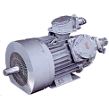 ВРК-280S6-IM1001-РВЕxdI электродвигатель асинхронный взрывозащищенный 55 кВт, 1000 об/мин