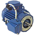 АДМП-80B2-IM3981-220/380В-ОМ2 электродвигатель асинхронный 2,2 кВт, 3000 об/мин, IP55, РМРС